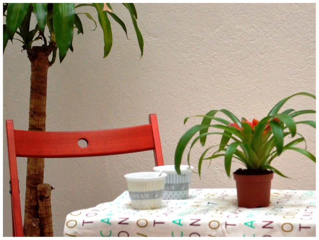 Colegiata Home Talavera de la Reina Kültér fotó